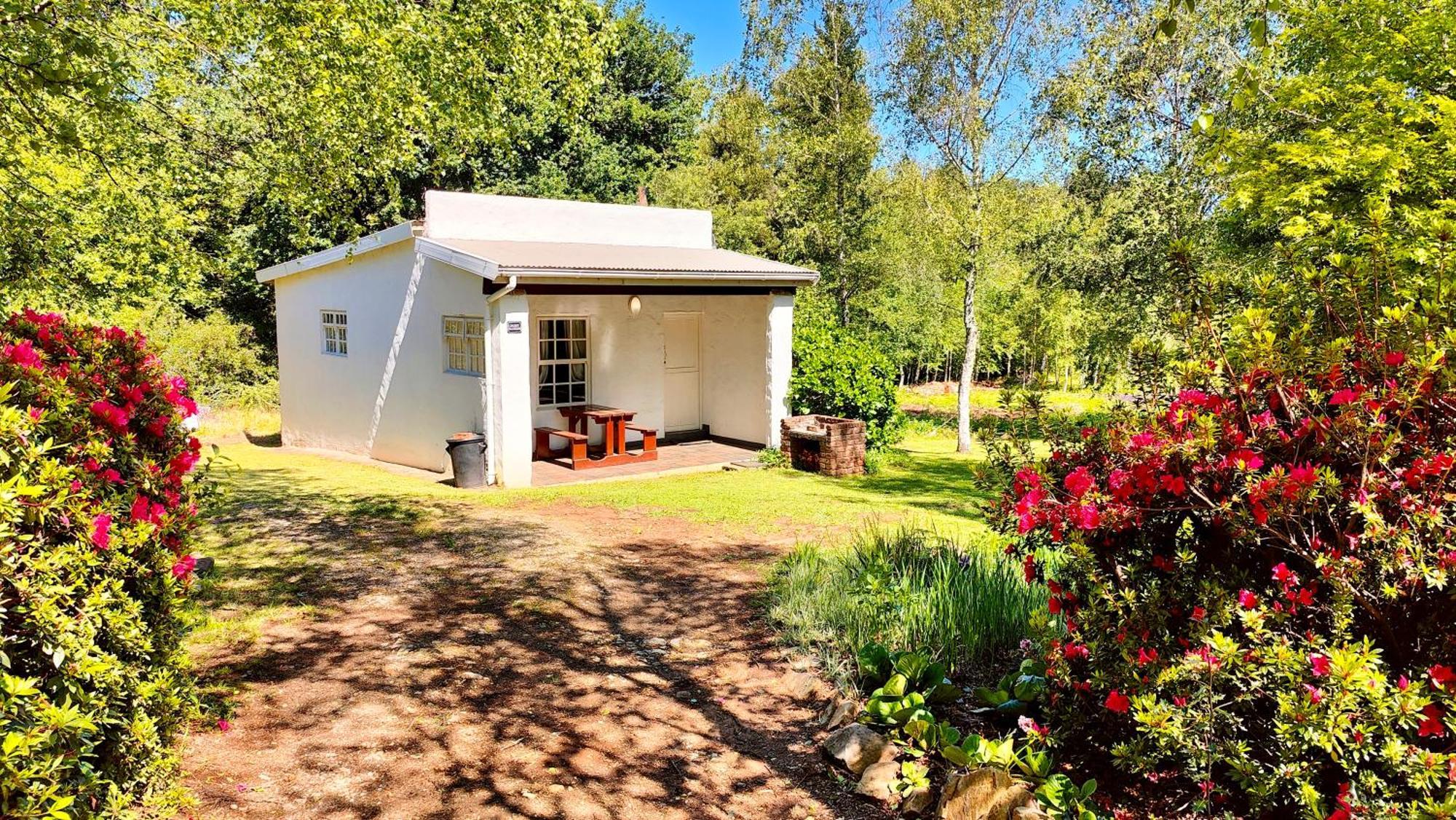 The Edge Mountain Retreat Villa Hogsback Eksteriør billede